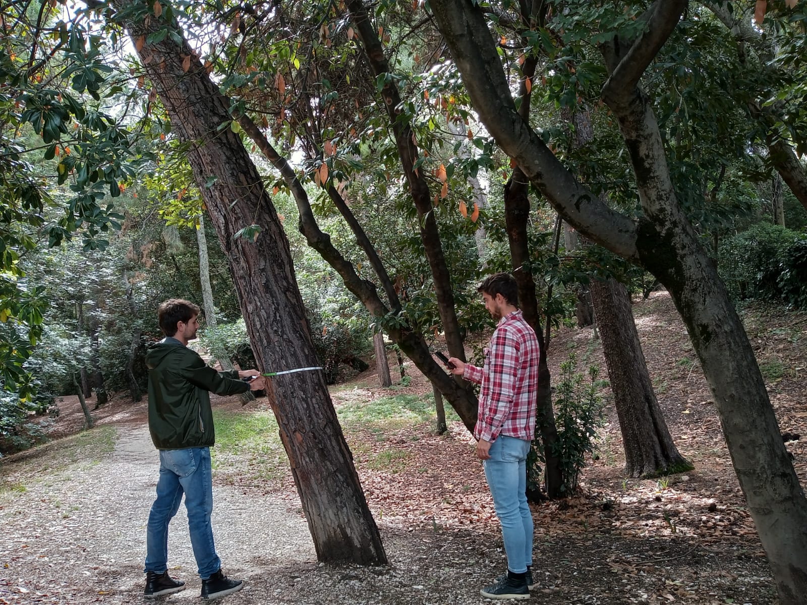 i giovani laureati del servizio civile del 2020