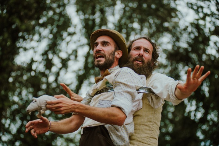 Il Circo Palacinca