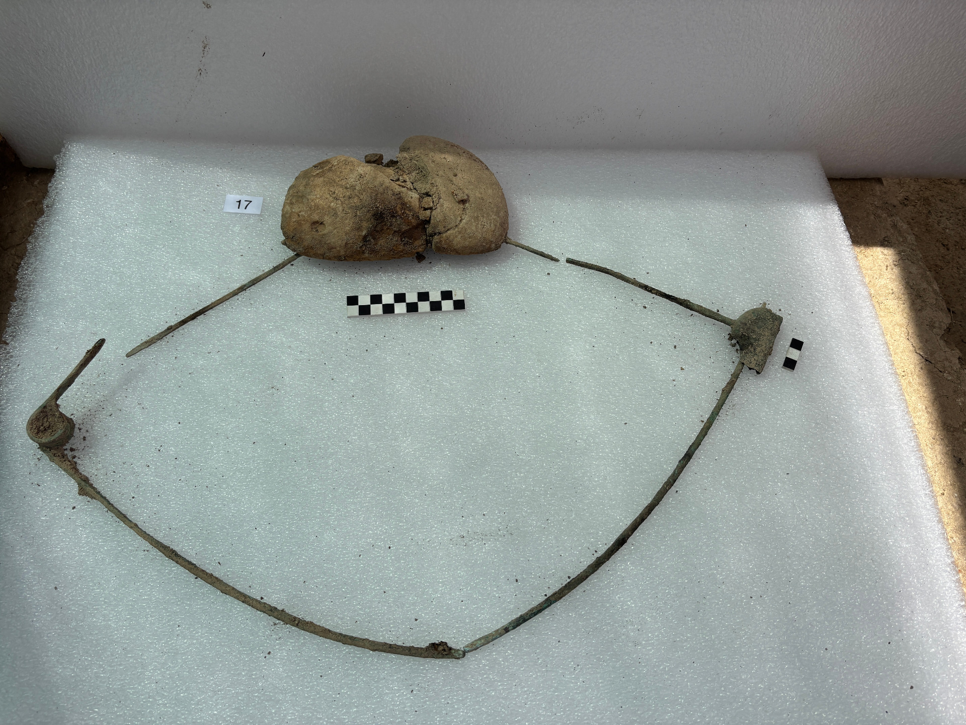 Fibula con nucleo in ambra